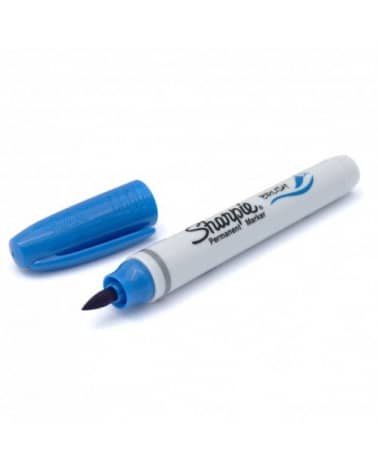 Sharpie Brush Bleu