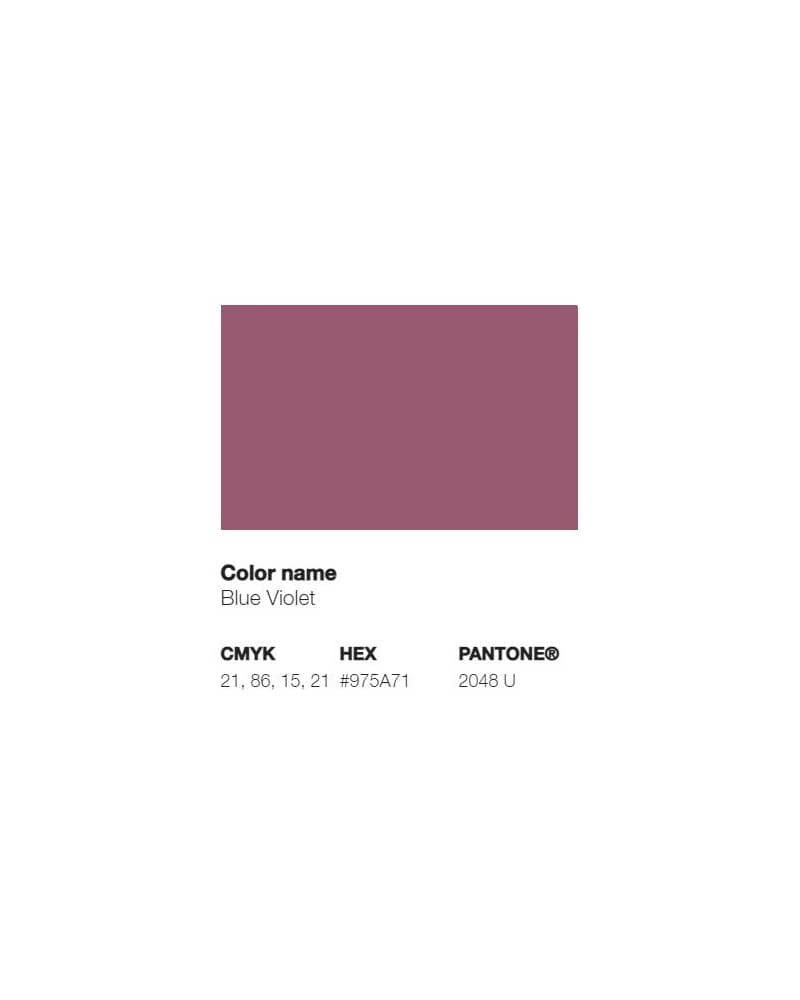 Pantone 2048U - Violet Bleu