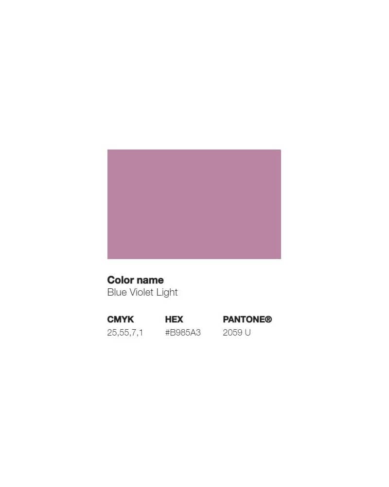 Pantone 2059U - Violet Bleu Clair